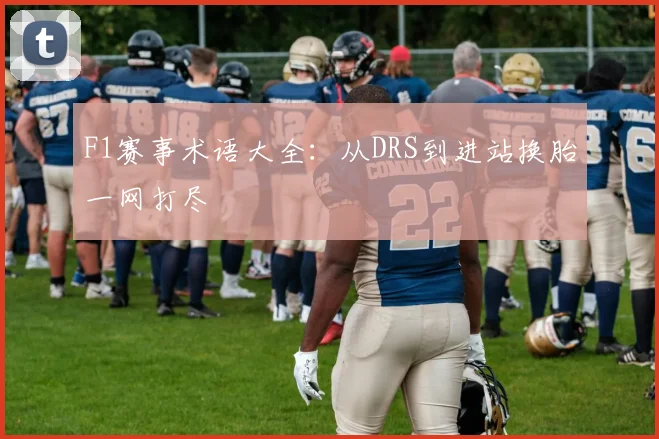 F1赛事术语大全：从DRS到进站换胎一网打尽