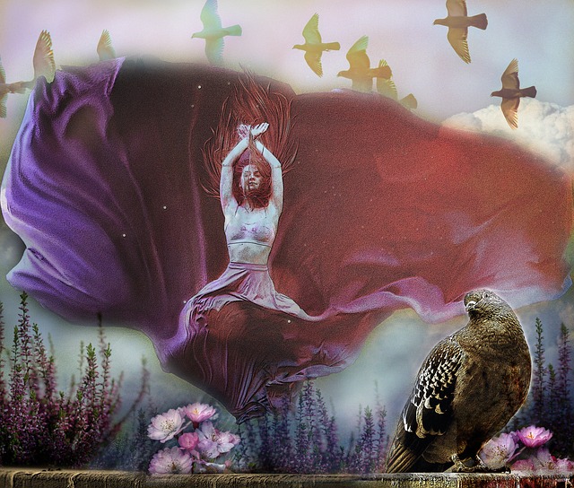 的体育盛会 的体育盛会