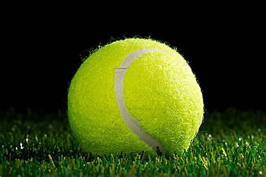 侣们提供了 侣们提供了