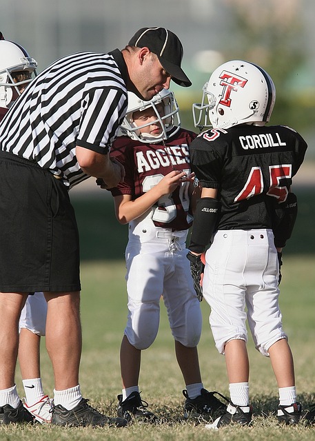 李铁案及顾 李铁案及顾