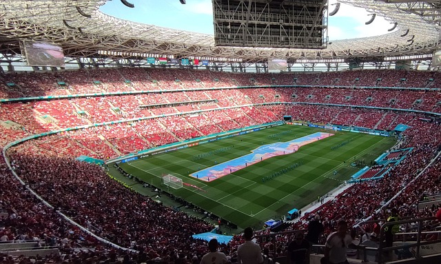 为我们揭示 为我们揭示