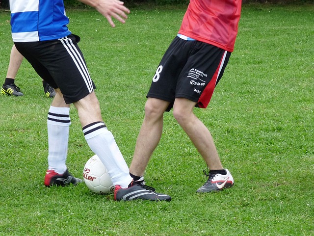 部的合作以 部的合作以