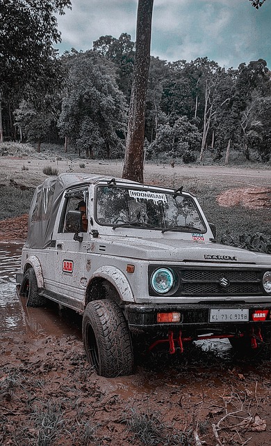 斯堡的恩梅 斯堡的恩梅