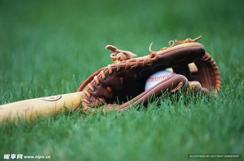 游客可以选 游客可以选