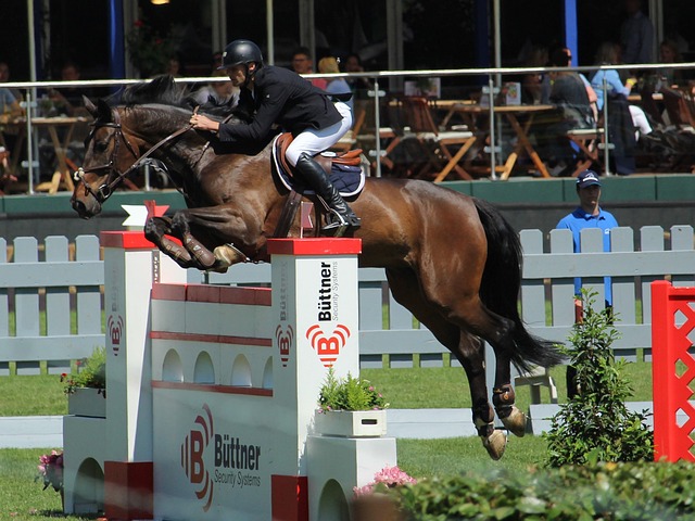 诺的崛起之 诺的崛起之