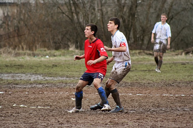 地位與獎金 地位與獎金