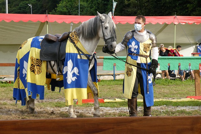 默契与拼搏 默契与拼搏