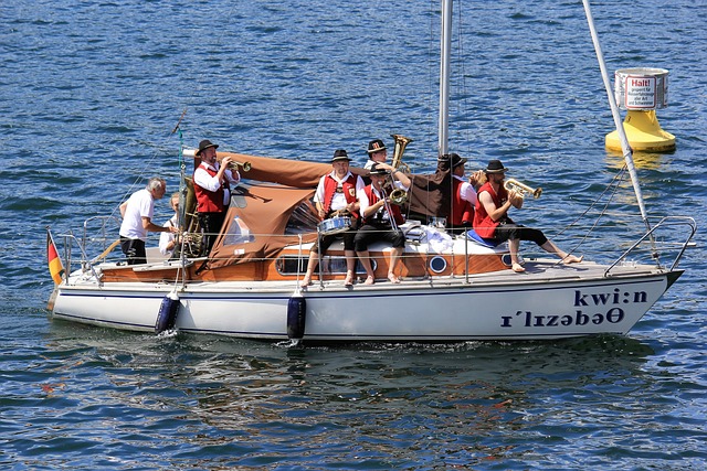 LS的电视 LS的电视